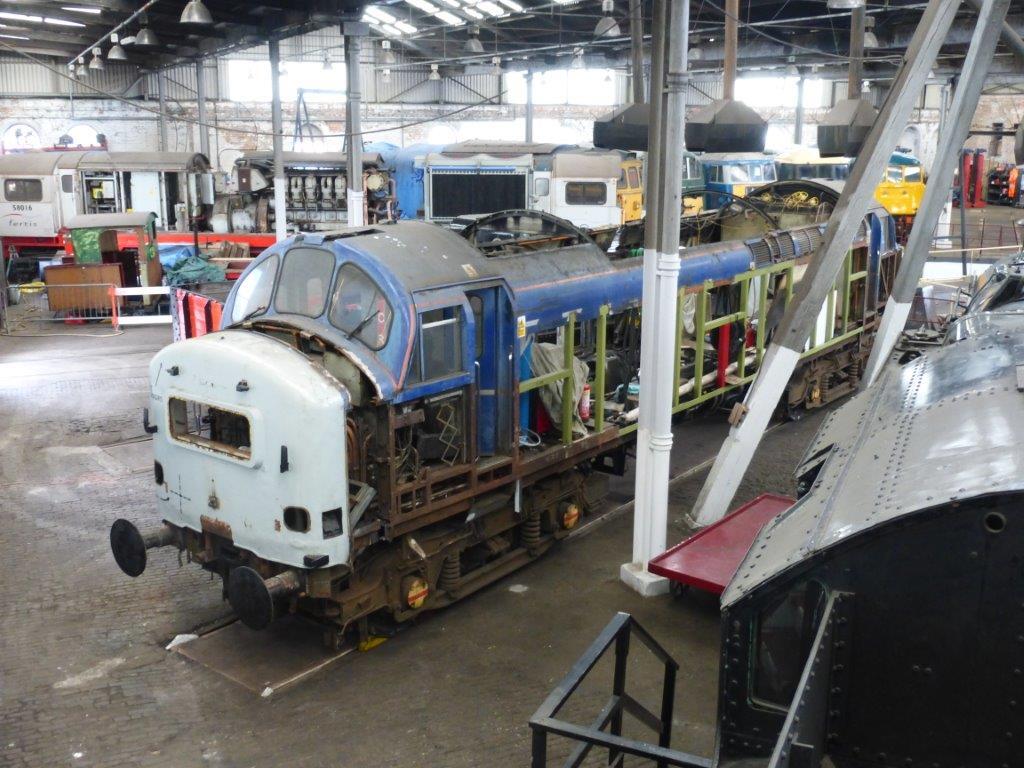 babydelticproject1