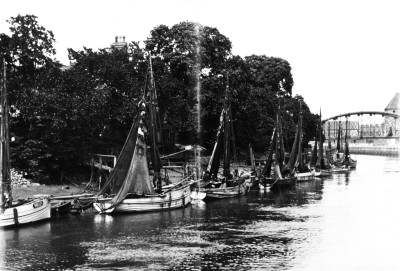 north end shrimpers